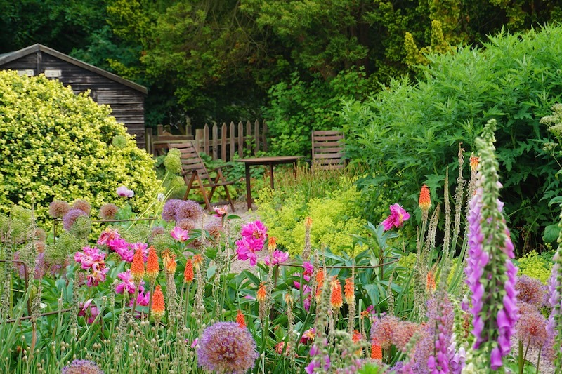 Cut-flower garden with foxgloves, red hot poker, and allium